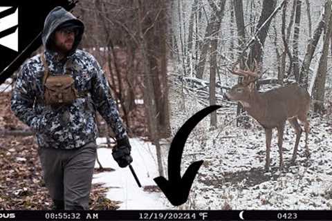 Why You Shouldn't Pull Your Trail Cameras Yet!