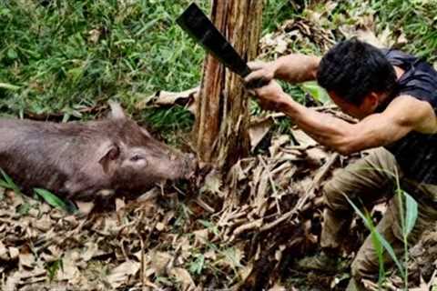 Full video: Building Shelter, Crafting Traps, Ambush Wild Boar - 10 Days...