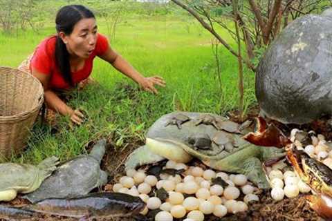 Top Adventure solo catching and cooking fish. Eggs turtle. Crab. for eating in forest