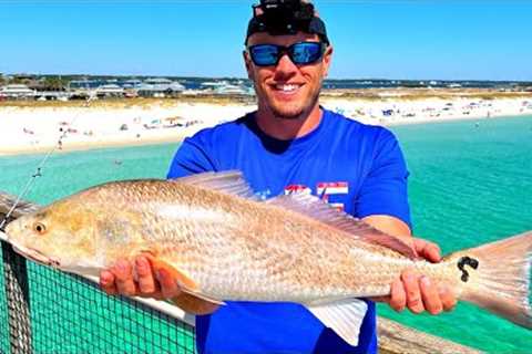 Saltwater Pier Fishing - Cooking Whatever We Catch!