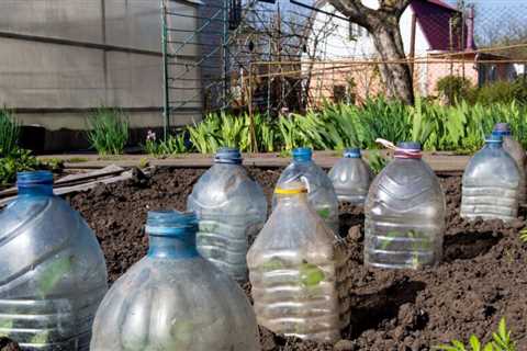 What is Winter Sowing?
