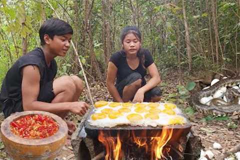 Meet a big snake and Duck egg - Cooking duck egg on the rock - Survival in the rainforest