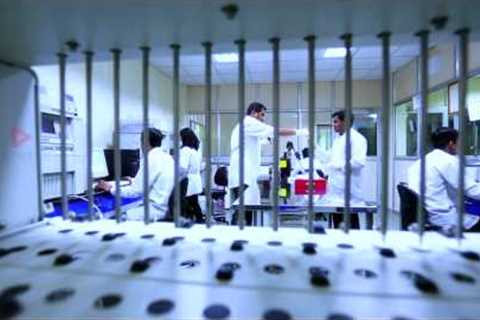 Sahajanand Medical Technologies (SMT)- Corporate Video