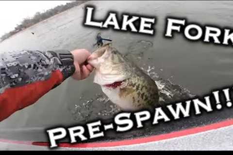 Lake Fork Winter Pre Spawn Bass Fishing February 2022! Giants on Black And Blue Jigs!!!