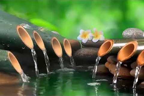 Relaxing Water Music ● Reduce Stress, Calm The Mind, Health Recovery