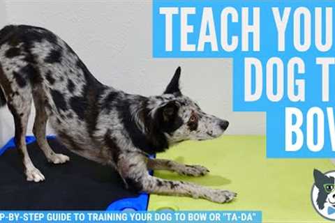 Take a Bow: Teach Your Dog to Bow