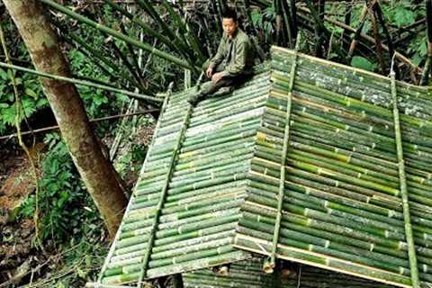 Survival instinct, Survival alone, Complete new shelter, Survival skills