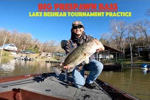 TOURNAMENT PRACTICE ON LAKE BESHEAR | PRESPAWN BASS FISHING | April 7, 2022