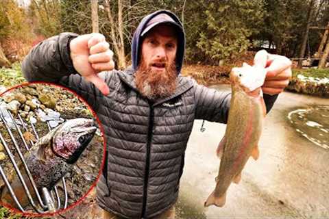 This FISH POND IS OVER :( - Spearfishing, Netting, Handfishing Catch, Clean, Cook