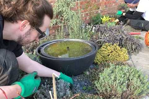 Lawn Care At The Farm | Real Gardening And Spring Time Flowering Tips