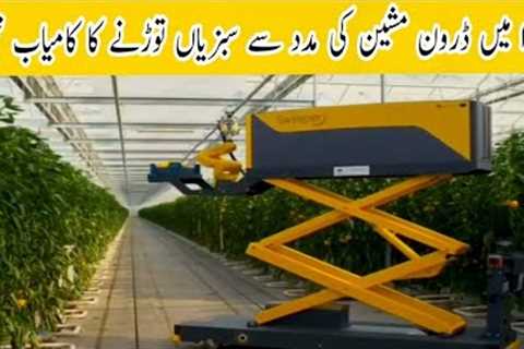 Drone picking vegetables in green house | Use of Drone | Advance agriculture technology