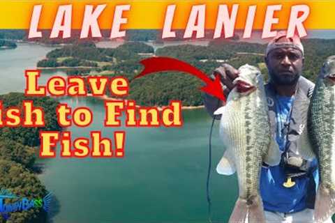 LAKE LANIER Spotted Bass ! WHY you SHOULD Leave Fish to FIND Fish! EVERYONE Needs to KNow This!!