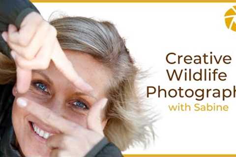 Creative Wildlife Photography Tips with Sabine Stols