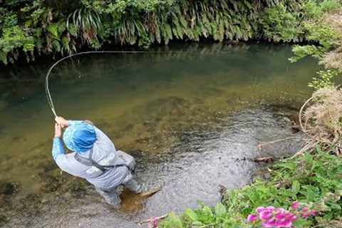 FLY FISHING a Small Stream for SURPRISINGLY GOOD Trout / 4K!