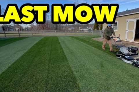 Last Mow Tall Fescue and Kentucky Bluegrass FUNGUS in the WINTER