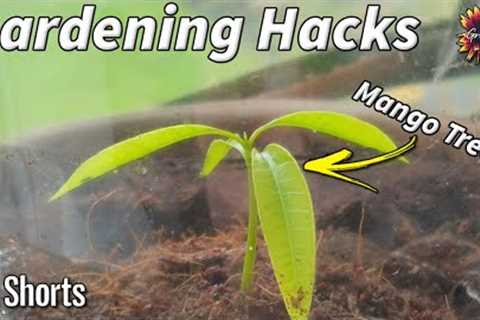 5 EASY Gardening Hacks In 1 Minute // #Gardening #Hacks #Ideas #Reuse