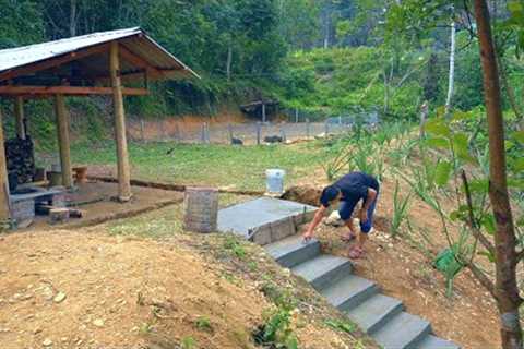 Make a solid staircase to the pig farm - Forest life | Ep.477