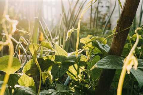 Why should you invest in permaculture demonstration sites?