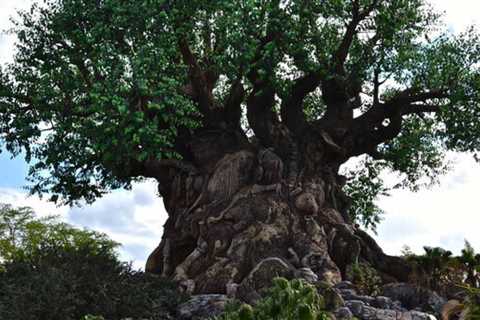 Information and facts about Disney World for Travelers - Everything You Need To Know