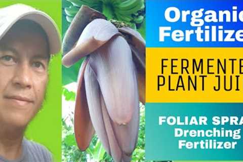 Organic Fertilizer FERMENTED PLANT JUICE best for Foliar Spray and Drenching Fertilizer