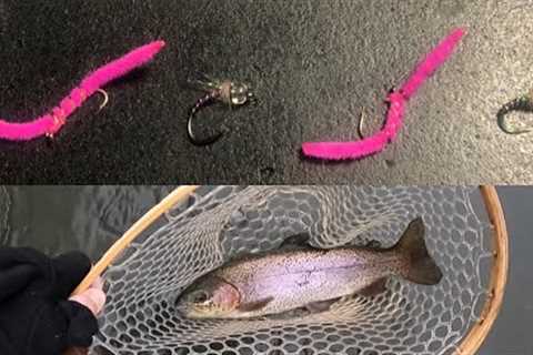 Christmas Fly Fishing on the TULLY 2022