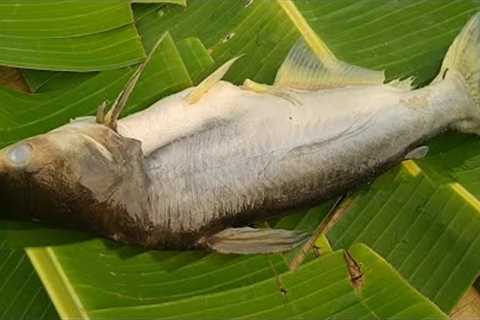 Survival Skills Fried Fish With Soy Sauce And Ginger In The Forest