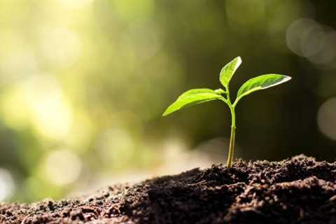 Human Composting: Cool Or Creepy? A New, Eco-Friendly Alternative To Burials Or Cremation