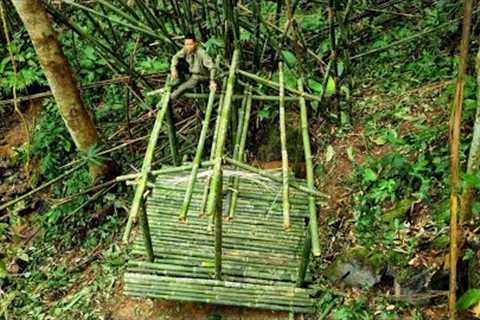 Survival skills, Build a new shelter in the rainforest
