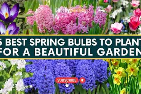 5 Best Spring Bulbs to Plant for a Beautiful Garden 🌷🌺 // Gardening Tips