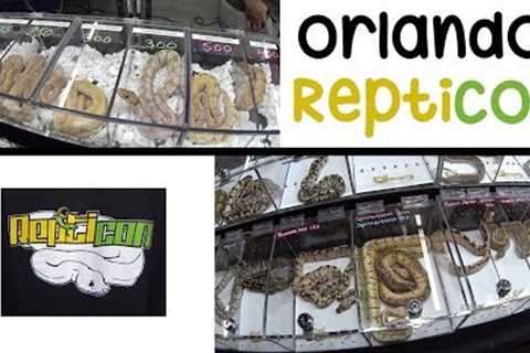 Buying Ball Pythons at Repticon [FULL SHOW]