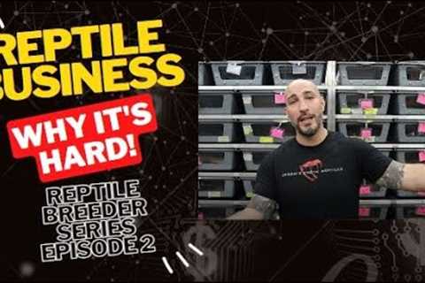 Why it's hard starting a Reptile Breeding Business! Reptile Breeder Series Episode #2