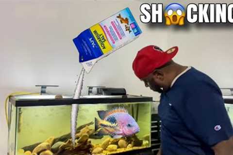 WHAT REALLY HAPPENS WHEN YOU ADD AQUARIUM SALT TO FISH TANKS!