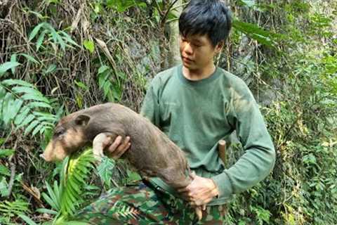 Survival, skills, to trap wild boar, find food for wild boar, survival alone