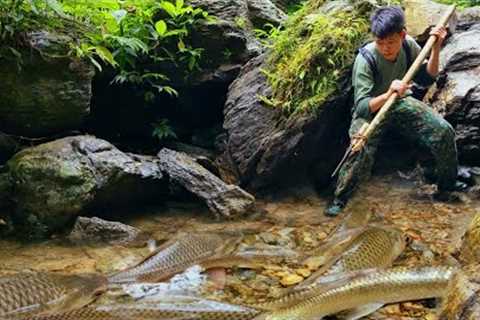 Survival skills, skills to catch fish with bare hands, living alone in the forest