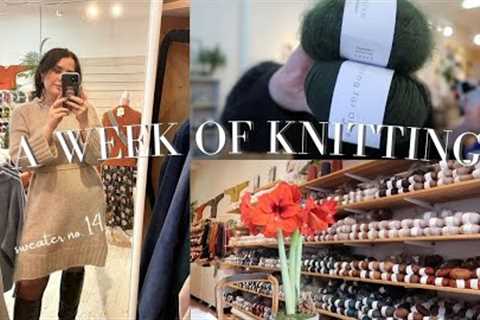 maryasia cardigan, winter clutch and christmas eve / a week of knitting