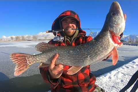 ONE In a MILLION Catch from this Marina!! (Ice Fishing Catch &amp; Cook)