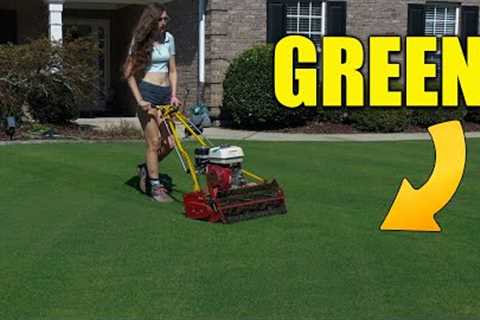 Dark Green Fall Lawn - Fertilize and Reel Mow