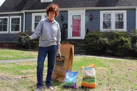 Early Spring Lawn Care Tasks