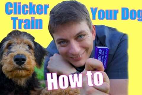 How to CLICKER TRAIN Your Dog: The FASTEST WAY to Teach your Dog to be AWESOME!
