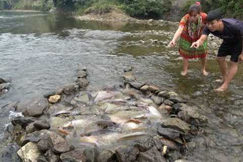 Primitive life: Wild survival skills, Fishing, catching grilled fish, Grilling delicious fish