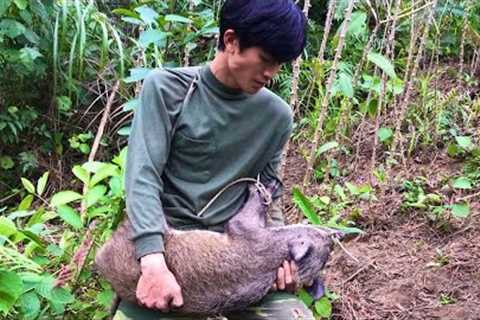 FULL VIDEO: 42 days of surviving alone, detecting wild boars, skills to set traps, build a new life