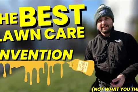 BEST Lawn Care Invention #budgetfriendly #lawncarenut #mustard #fungus #snowmold