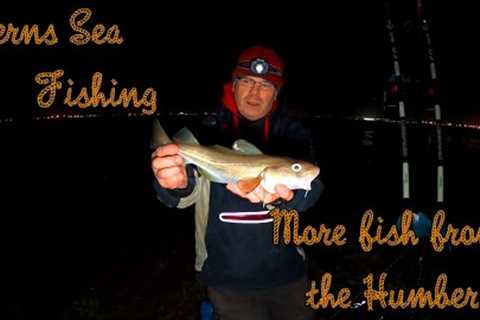 VERNS SEA FISHING | CATCHING CODLING MAKES LIFE BETTER WITH THE NORFOLK COD CATCHER IN LINCOLNSHIRE