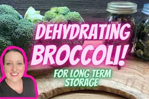 Preparing for food shortages |How to Dehydrate Broccoli | long term food storage | UK preppers