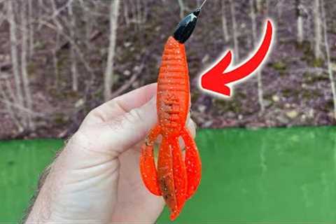 No One On Your Lake Is Trying This For Winter Bass