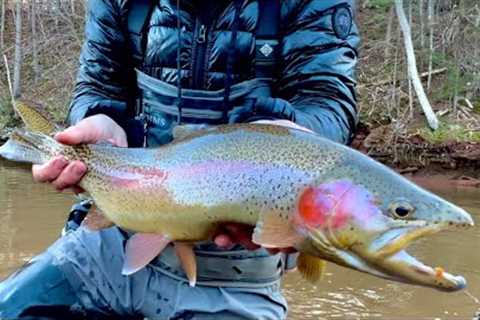 Fly Fishing Winter Steelhead in Prince Edward Island, Canada (Episode 1)
