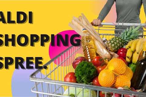 Aldi Shopping Spree 2| Grocery shopping Tips| Feeding family on a budget