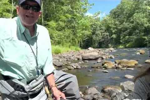 Fly fishing Farmington river