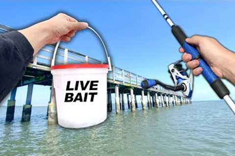 Eating Whatever I Catch.. (Catch and Cook) Fishing w/ MUD MINNOWS