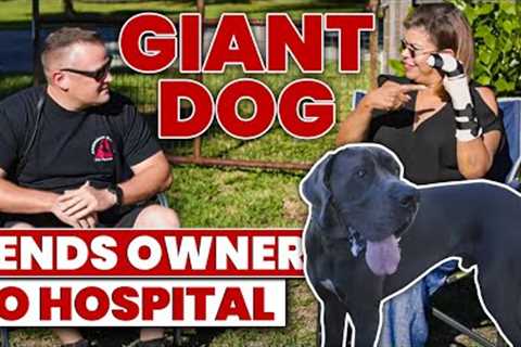 GREAT DANE BREAKS HER ARM... CAN WE FIX IT?!